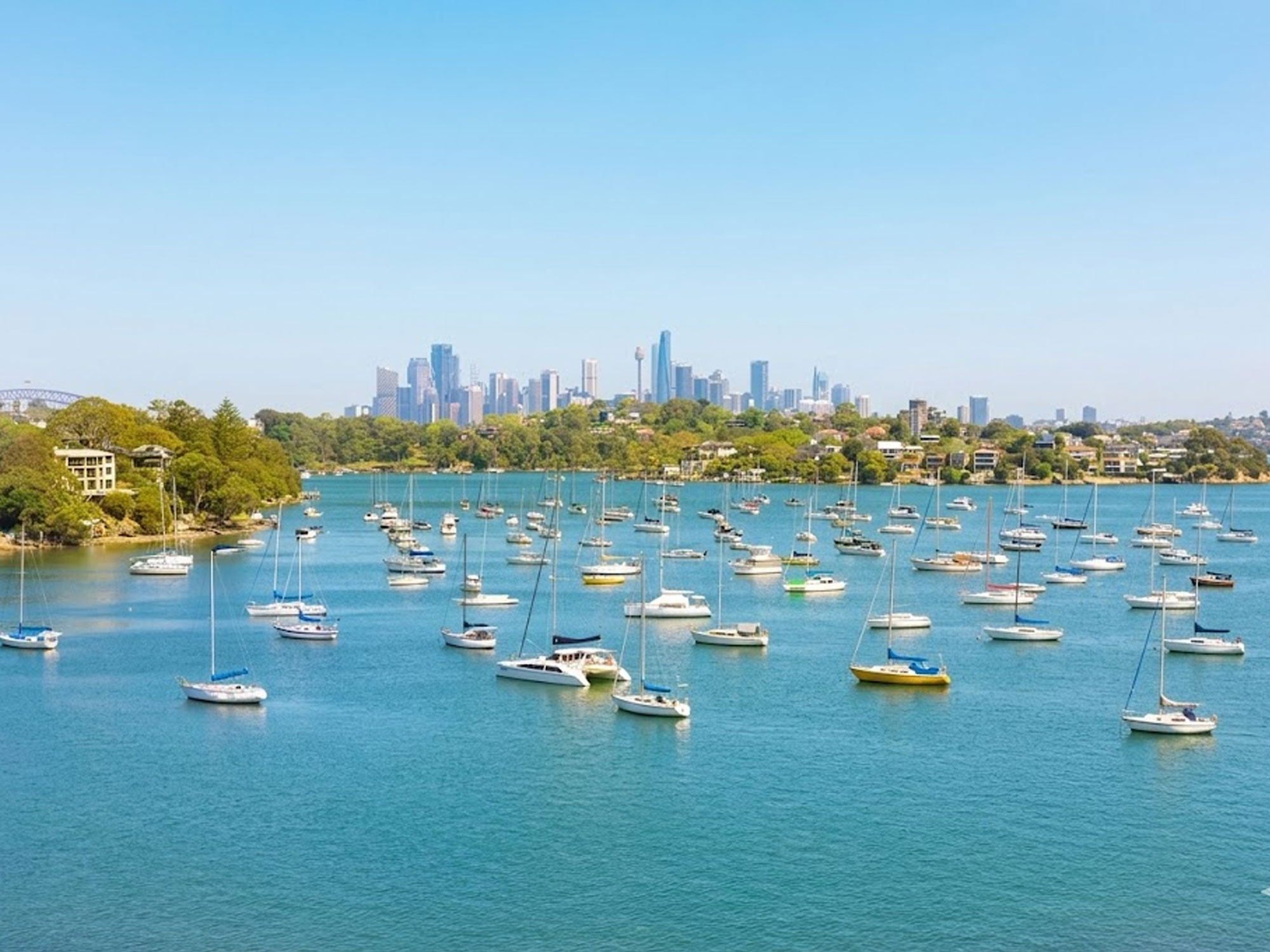 A quiet stroll through the leafy trails of Woodford Bay