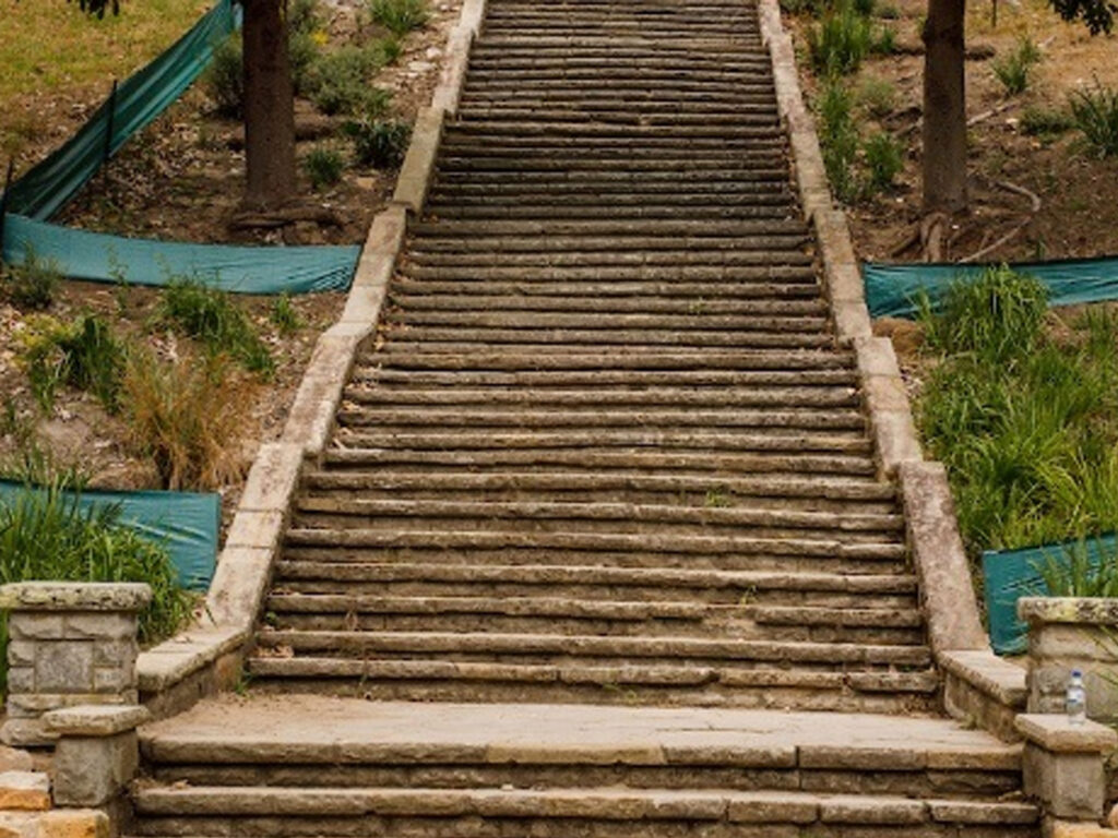 Elevated coastal perspectives at Cooper Park