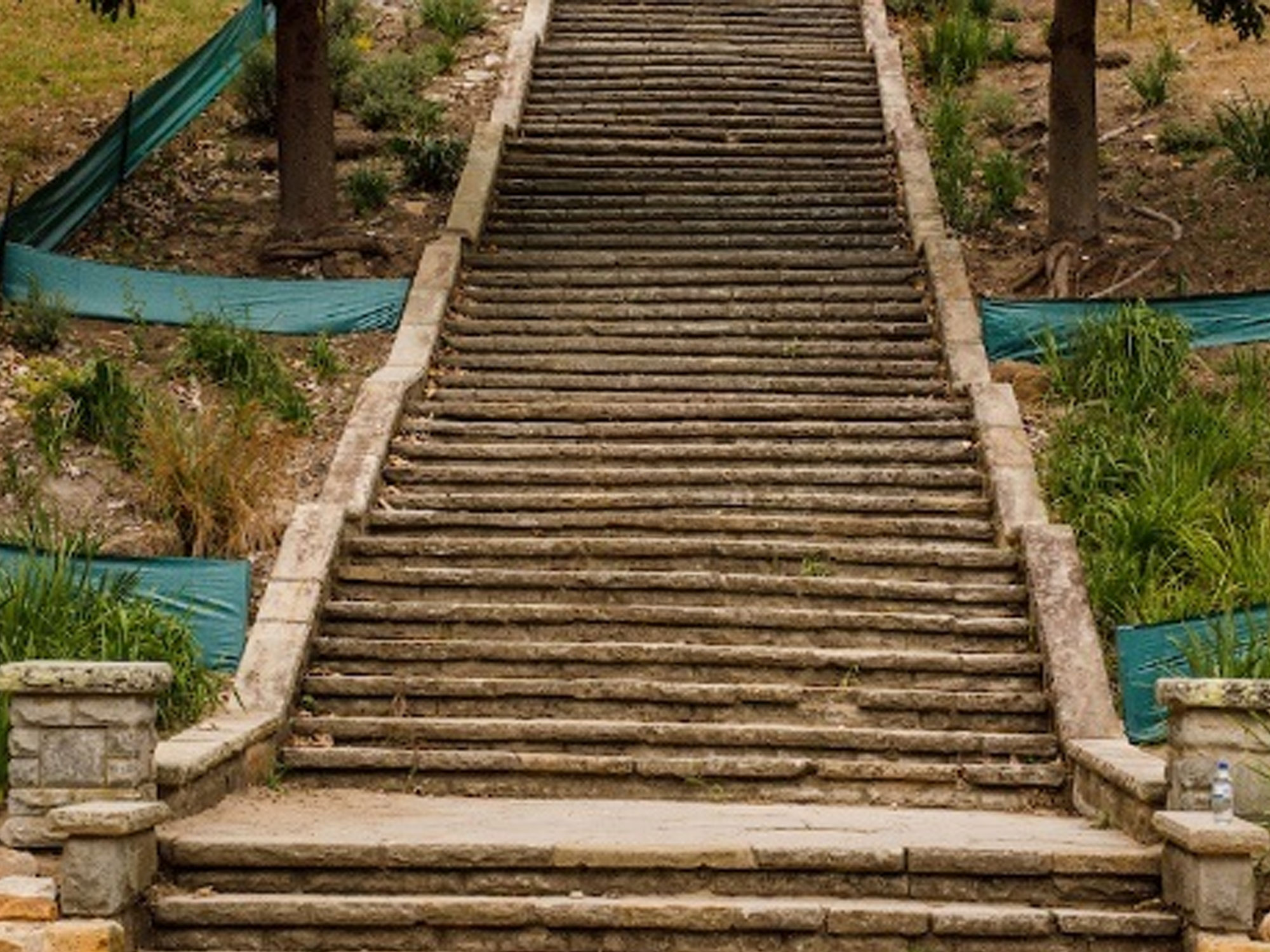 Elevated coastal perspectives at Cooper Park