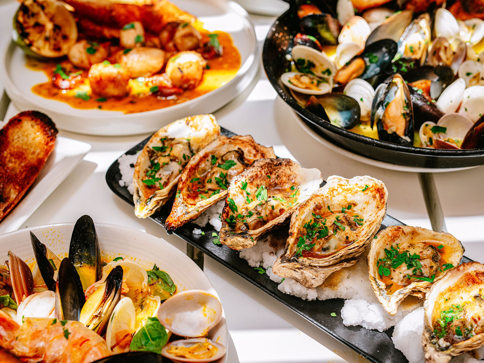 Elevated horizons and coastal cuisine in Dover Heights