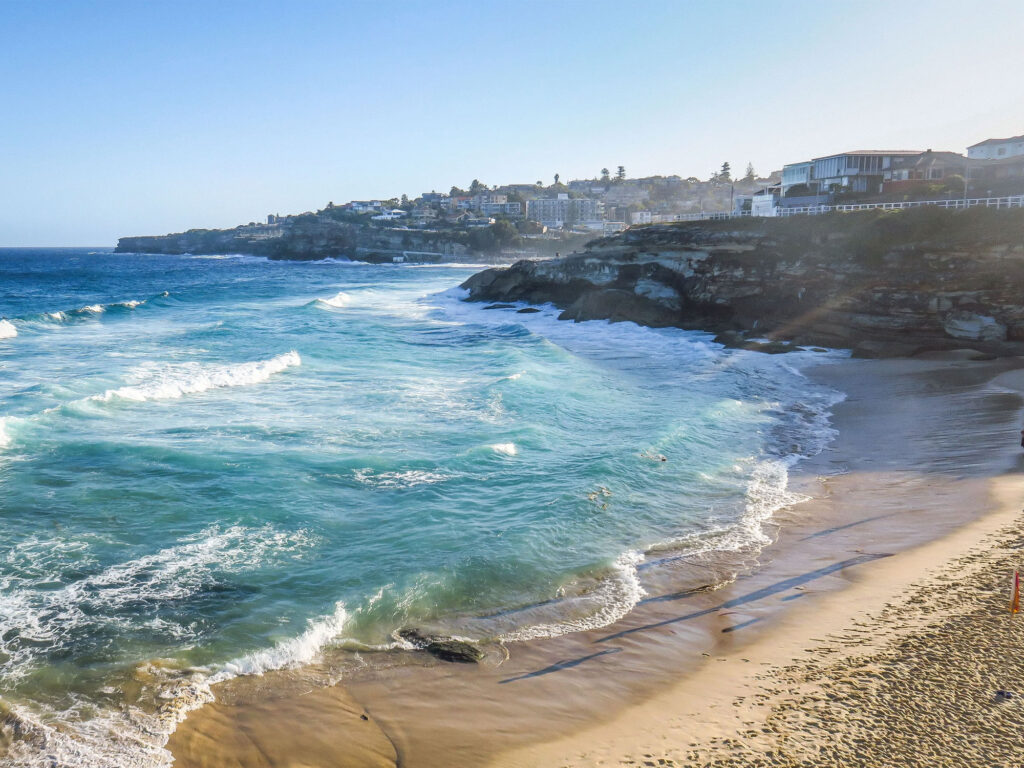Saltwater and oils: A creative journey in Tamarama