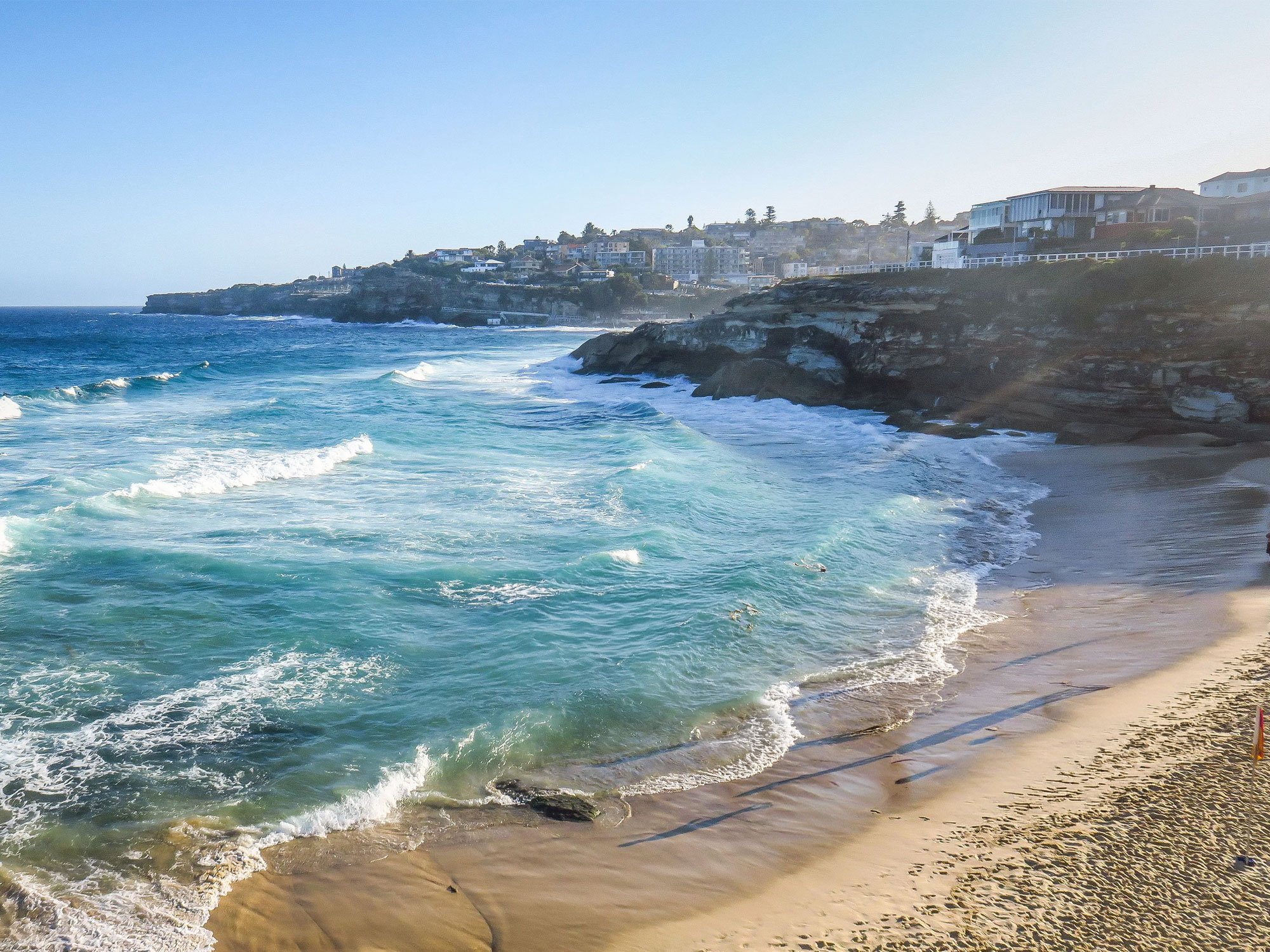 Saltwater and oils: A creative journey in Tamarama