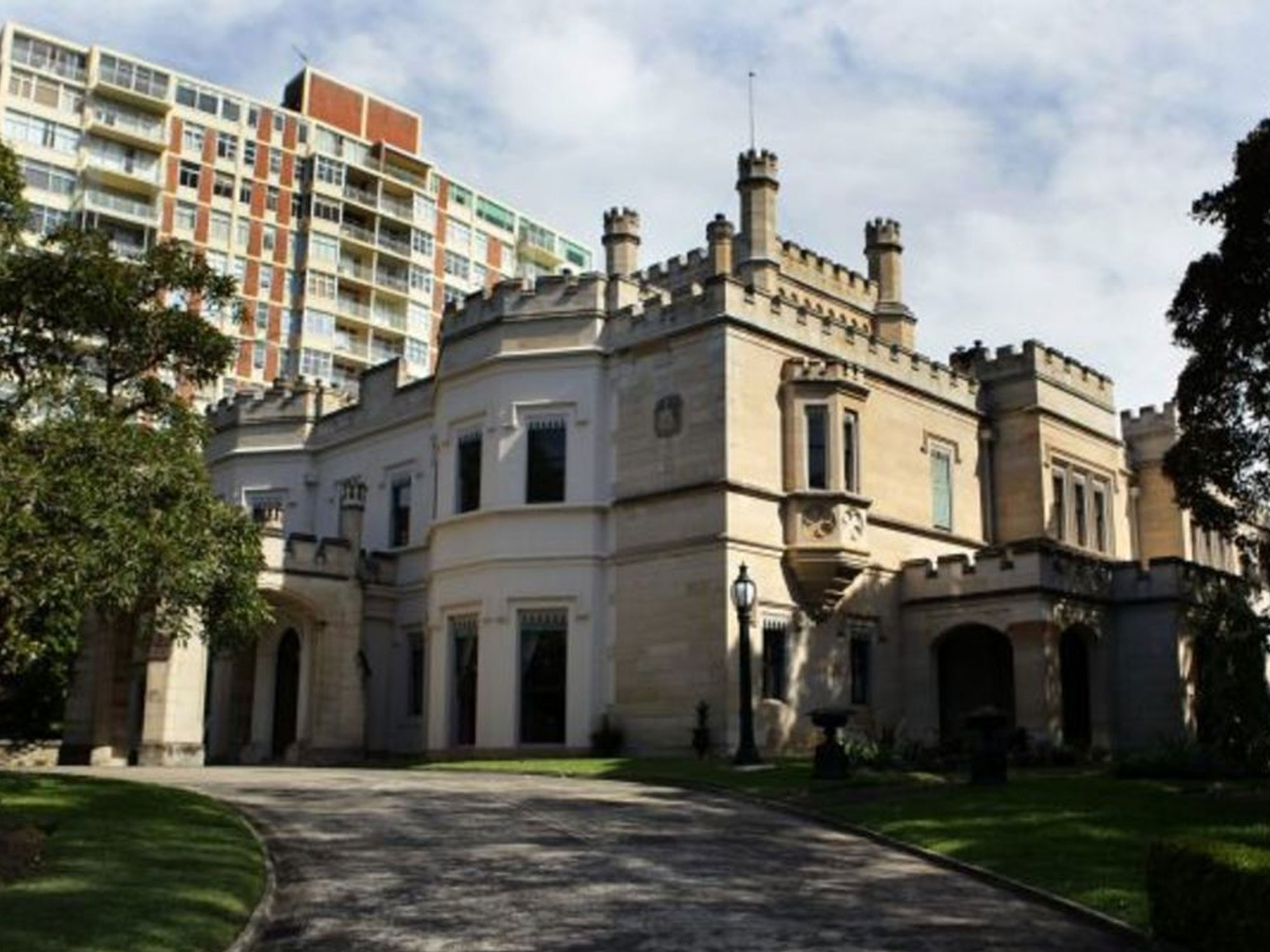 Swifts in Darling Point